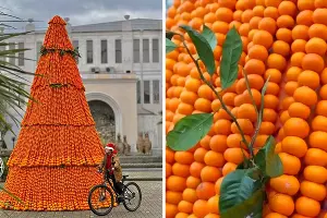  &copy;&nbsp;Скриншоты фото из телеграм-канала &laquo;Че происходит?! Сочи/Сириус&raquo;
