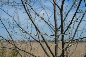  &copy;&nbsp;Фото Евгения Мельченко, Юга.ру