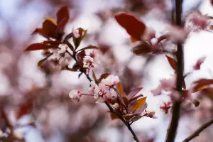  &copy;&nbsp;Фото Елены Синеок, Юга.ру