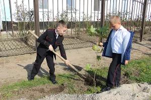  &copy;&nbsp;Фото пресс-службы администрации Тбилисского района