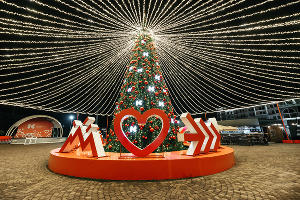  © Фото пресс-службы Курорта Красная Поляна