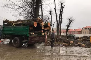  &copy;&nbsp;Фото со страницы &laquo;Помоги городу&raquo; в фейсбуке, facebook.com/groups/helpcity