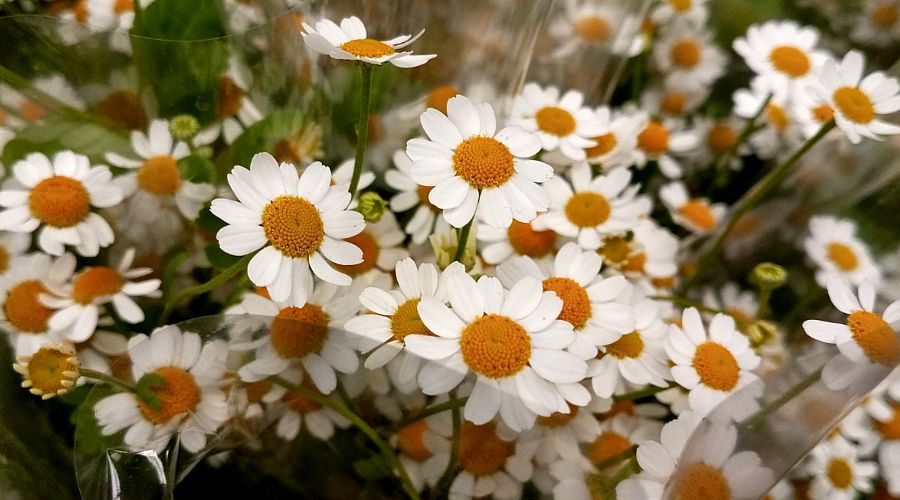  © Фото Андрея Малёваного