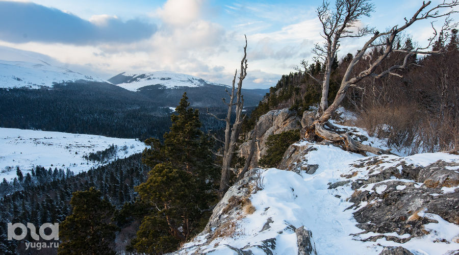  &copy;&nbsp;Фото Елены Синеок, Юга.ру