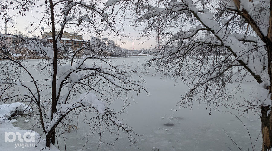 Зима в Краснодаре © Фото Александры Прохоренковой-Аксеновой, Юга.ру