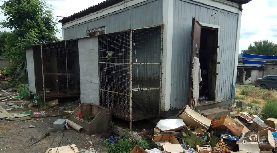  &copy;&nbsp;Фото из группы &laquo;Ростов Главный - новости Ростова-на-Дону&raquo; &laquo;ВКонтакте&raquo;, vk.com/rostovnadonu