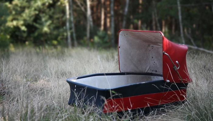  &copy;&nbsp;Фото Mirekis, pixabay.com