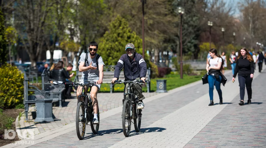  &copy;&nbsp;Фото Елены Синеок, Юга.ру