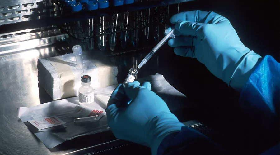  &copy;&nbsp;Фото National Cancer Institute с сайта Unsplash.com