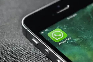  &copy;&nbsp;Фото с сайта freegreatpicture.com