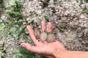  &copy;&nbsp;Фото пресс-службы администрации Павловского района