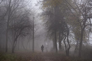 Туман в парке «Солнечный остров» © Фото Елены Синеок, Юга.ру