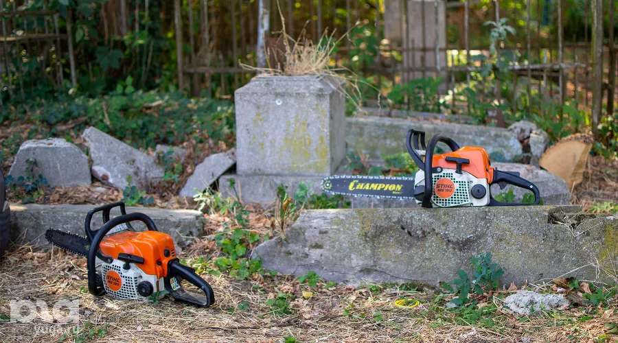 Лесорубы на Всесвятском кладбище во время вырубки в сентябре 2023 года &copy;&nbsp;Фото Александра Гончаренко, Юга.ру