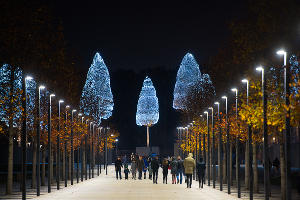 Парк «Краснодар»  с новогодней подсветкой &copy;&nbsp;Фото Елены Синеок, Юга.ру