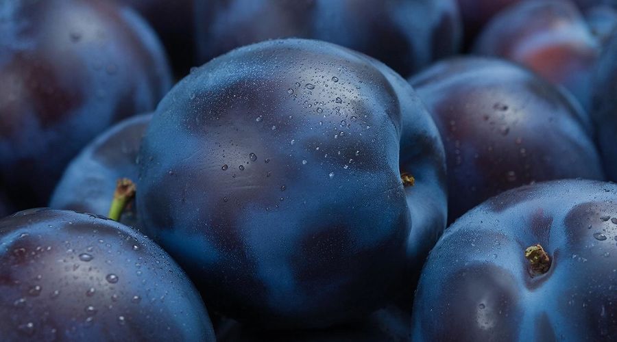 слива  &copy;&nbsp;Изображение сгенерировано с помощью Gigachat