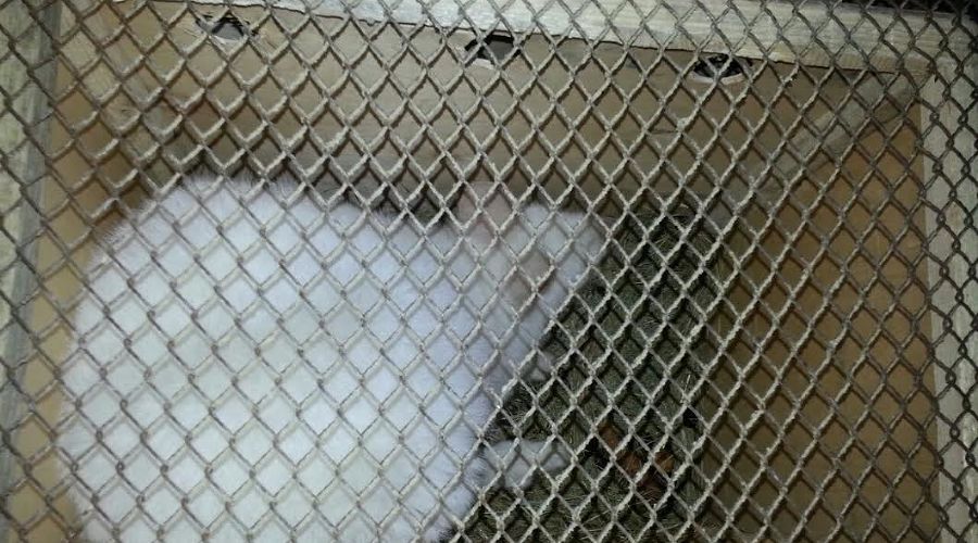  &copy;&nbsp;пресс-службе ПУ ФСБ России по Ростовской области