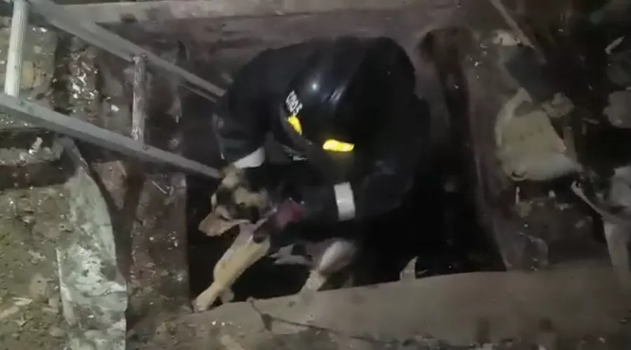  &copy;&nbsp;Кадр из видео пресс-службы мэрии Краснодара