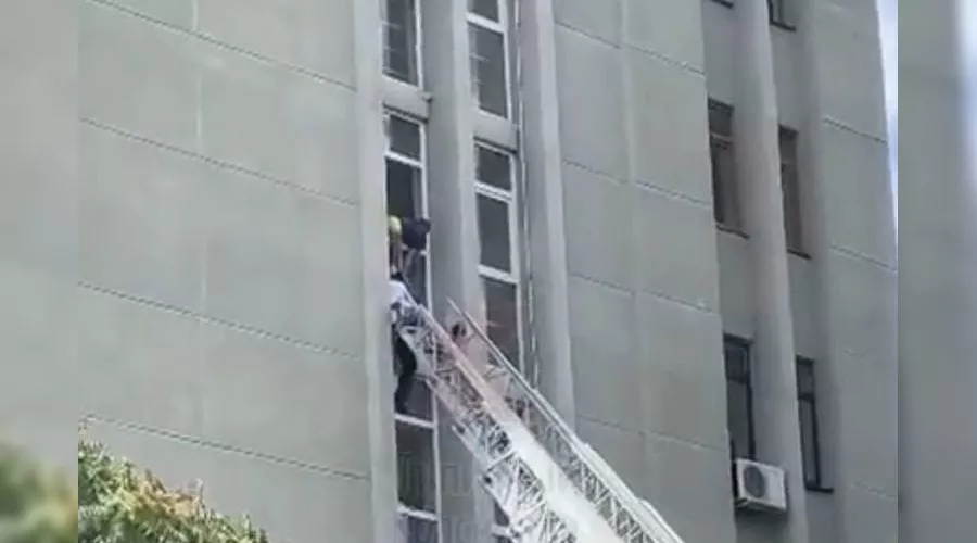  &copy;&nbsp;Скриншот видео из телеграм-канала &laquo;Типичный Краснодар&raquo;, t.me/krd_tipich_ru