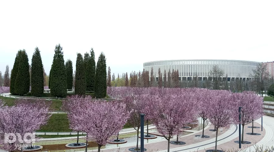 Весна в парке «Краснодар» &copy;&nbsp;фото Андрея Малёваного