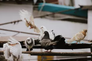  &copy;&nbsp;Фото Дениса Яковлева, Юга.ру