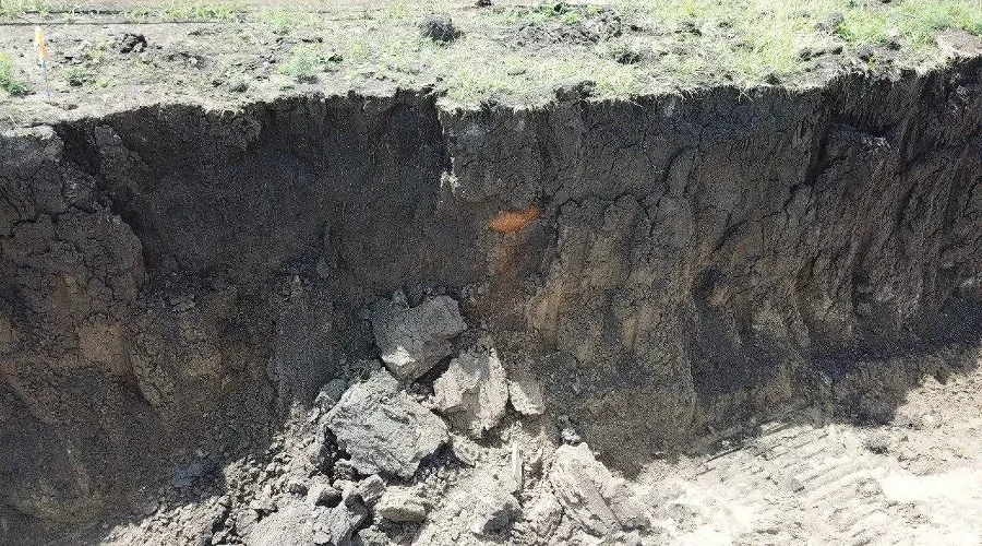  &copy;&nbsp;Фото Татьяны Харченко