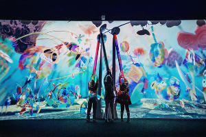 Мультимедийная «Галерея иллюзий» в «Сочи Парке» © Фото пресс-службы «Сочи Парка»