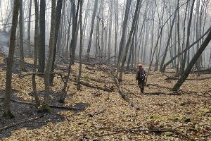  © Фото Алексея Щербины для Юга.ру