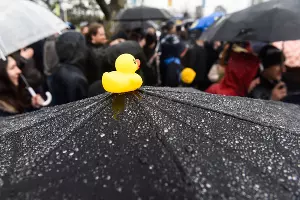 Акция сторонников Навального в Краснодаре &copy;&nbsp;Фото Елены Синеок, Юга.ру