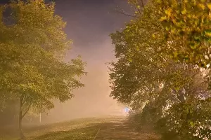 Улица 70-летия Октября в Краснодаре &copy;&nbsp;Фото предоставил читатель Юга.ру