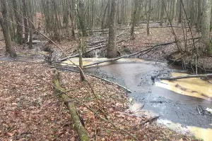  &copy;&nbsp;Фото &laquo;Эковахты по Северному Кавказу&raquo;