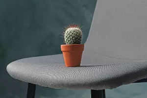  &copy;&nbsp;Фото Atlascompany, freepik.com