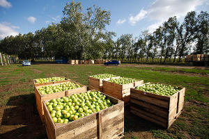  &copy;&nbsp;Фото Влада Александрова, Юга.ру