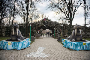 Краснодарский «Сафари-парк» © Фото Елены Синеок, Юга.ру