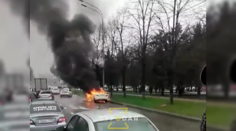  &copy;&nbsp;Скриншот видео из телеграм-канала &laquo;Туподар Краснодар&raquo;, t.me/typodar