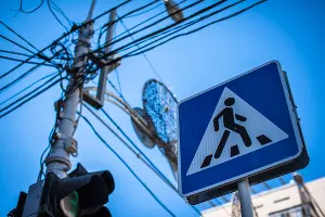  &copy;&nbsp;Фото Елены Синеок, Юга.ру