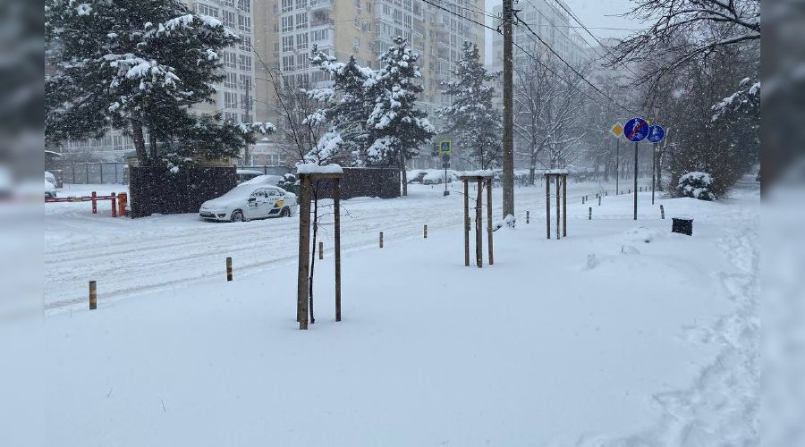 Краснодар замело снегом © Фото из телеграм-канала «Красный темник», t.me/redtemnik