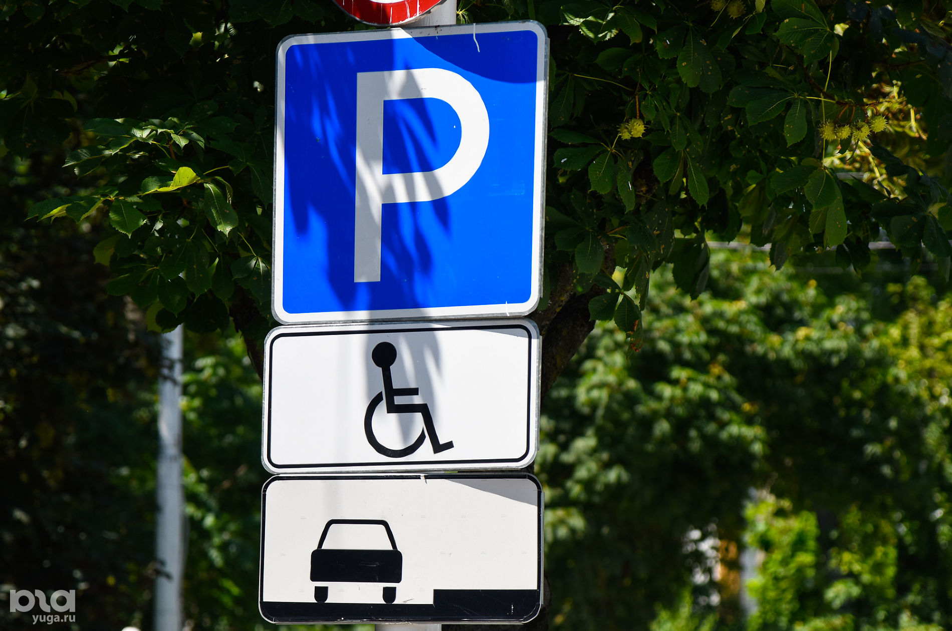 Парковка для инвалидов © Фото Елены Синеок, Юга.ру