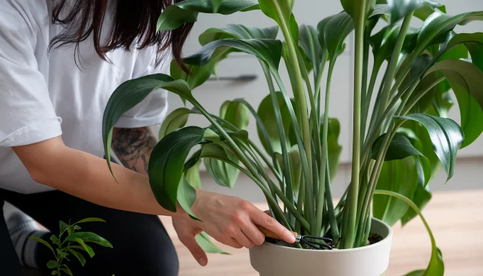  &copy;&nbsp;Изображение пользователя Freepik с сайта freepik.com