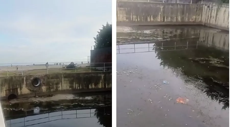  &copy;&nbsp;Коллаж из скриншотов фото из телеграм-канала &laquo;Сириус&raquo;