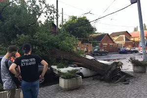  &copy;&nbsp;Фото Марии Томилиной, Юга.ру