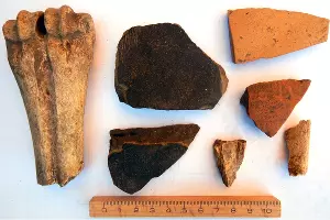 Находки с селища &laquo;Карасунский кут&raquo; &copy;&nbsp;Фото Андрея Баранюка