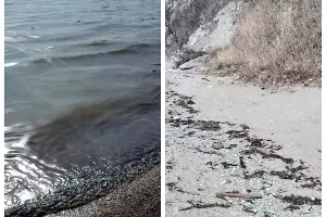  &copy;&nbsp;Скриншот из телеграм-канала &laquo;Новороссийский Рабочий&raquo; https://t.me/novorab_official/73271