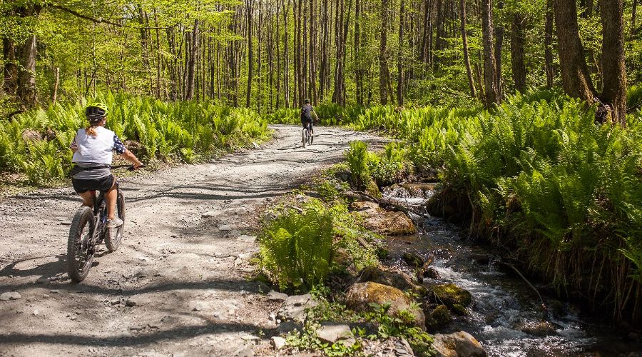  © Фото пресс-службы курорта «Роза Хутор»