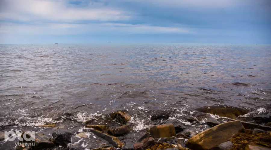  &copy;&nbsp;Фото Елены Синеок, Юга.ру