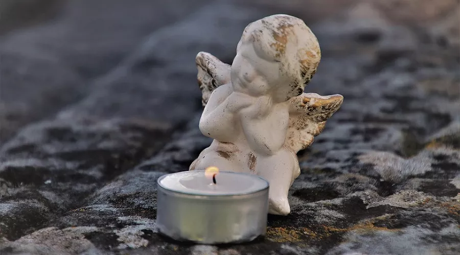  &copy;&nbsp;Фото с сайта pixabay.com