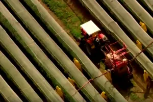 Кадр из промо-ролика к фильму «Дом. История путешествия» &copy;&nbsp;Скриншот видео с Rutube-канала &laquo;Романтика космических мечтаний&raquo;