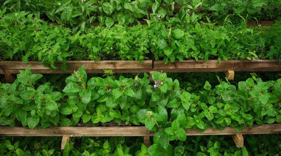 огород &copy;&nbsp;Изображение сгенерировано нейросетью Gigachat