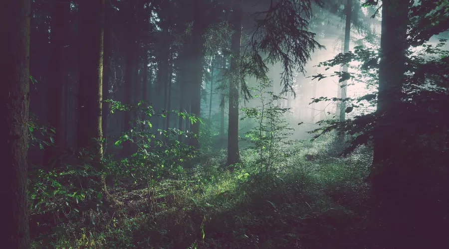  &copy;&nbsp;Фото Sebastian Unrau, unsplash.com