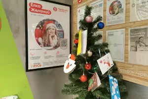  &copy;&nbsp;Фото предоставлено пресс-службой торговой сети &laquo;Пятёрочка&raquo;