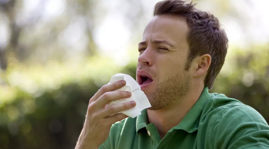  &copy;&nbsp;Фото с сайта pixabay.com